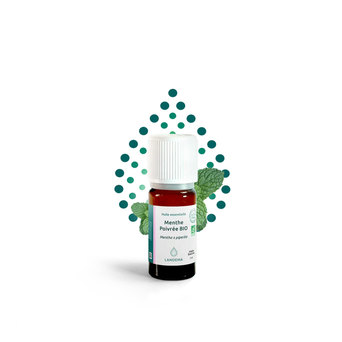 Menthe poivrée BIO image